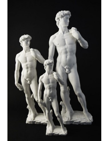 David di Michelangelo Buonarroti