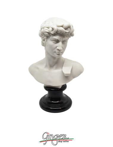 David by Michelangelo - bust 5.9 in. (15 cm) three versions