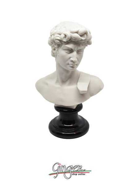 David di Michelangelo - busto 15 cm tre versioni
