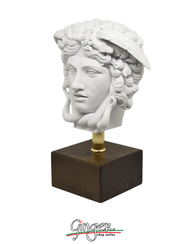 Testa della Medusa - 29 cm - bianco naturale