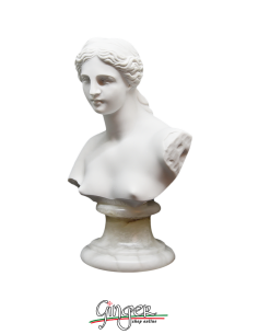 Venus de Milo (Aphrodite) - 5.9 in. (15 cm) - Bust with alabaster base 2