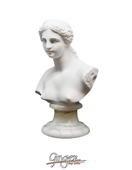 Venere di Milo (Afrodite) -15 cm - Busto con base in alabastro