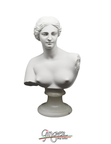Venere di Milo (Afrodite) - 22 cm - Busto con base in alabastro