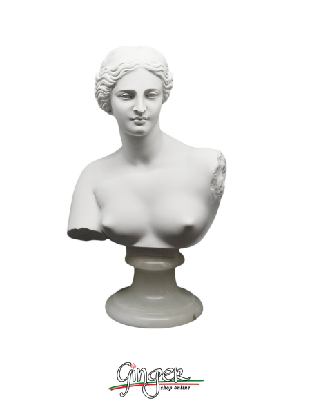 Venere di Milo (Afrodite) - 22 cm - Busto con base in alabastro