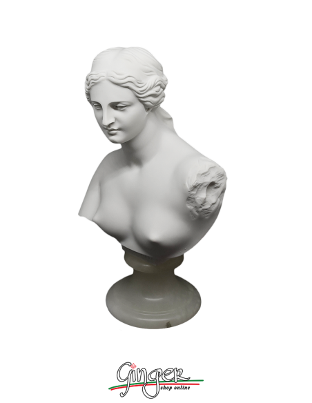 Venere di Milo (Afrodite) - 22 cm - Busto con base in alabastro