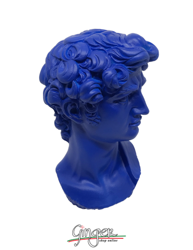 Collezione "pop-art" - Testa 17 cm - Blu