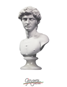 David by Michelangelo - bust with alabaster base - 10.6 in. (27 cm) or 12.6 in. (32 cm) 2