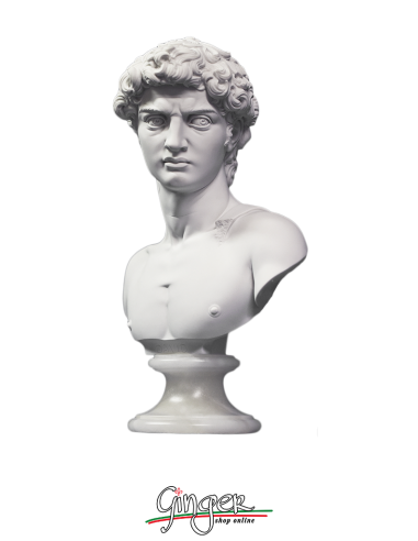 David di Michelangelo busto con base alabastro - 27 cm o 32 cm