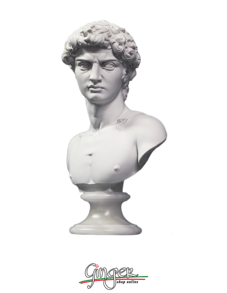 David by Michelangelo - bust with alabaster base - 10.6 in. (27 cm) or 12.6 in. (32 cm)