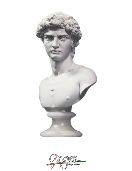 David di Michelangelo busto con base alabastro - 27 cm o 32 cm