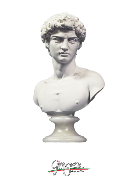 David di Michelangelo busto con base alabastro - 27 cm o 32 cm