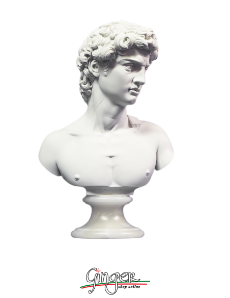 David di Michelangelo busto con base alabastro - 27 cm o 32 cm