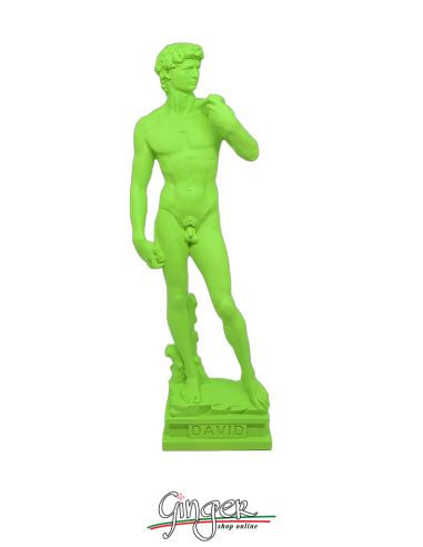 Pop-art collection - Michelangelo's David - 7,8 in. (20 cm) or 11,8 in. (30 cm) - Acid