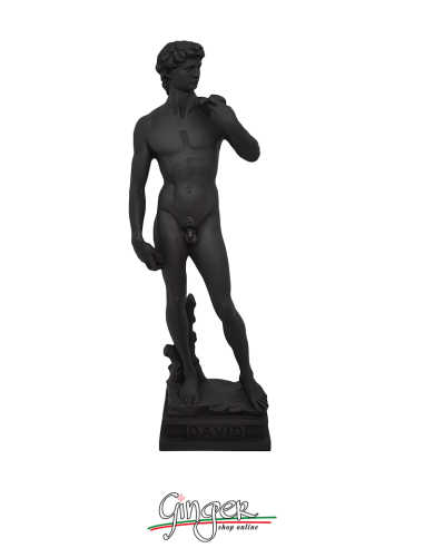 Collezione "pop art" - David 20 cm o 30 cm - Nero