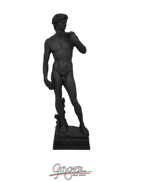Collezione "pop art" - David 20 cm o 30 cm - Nero