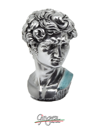 David - Testa 17 cm - color argento lux