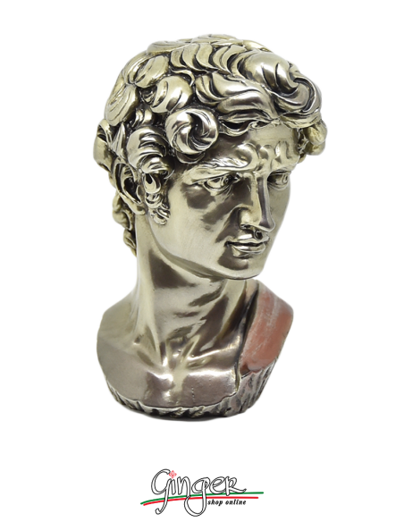 David - Testa 17 cm - color bronzo lux