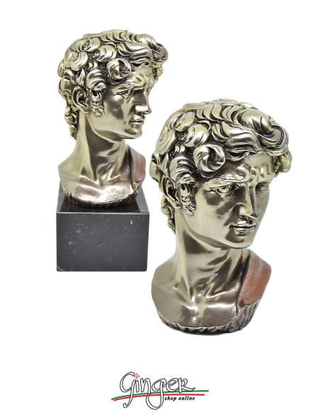 David - Testa 17 cm - color bronzo lux