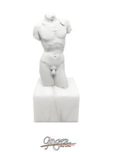 Thorax of Michelangelo's David with alabaster base 2