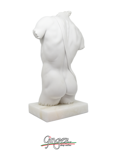 David by Michelangelo - Torso with alabaster base