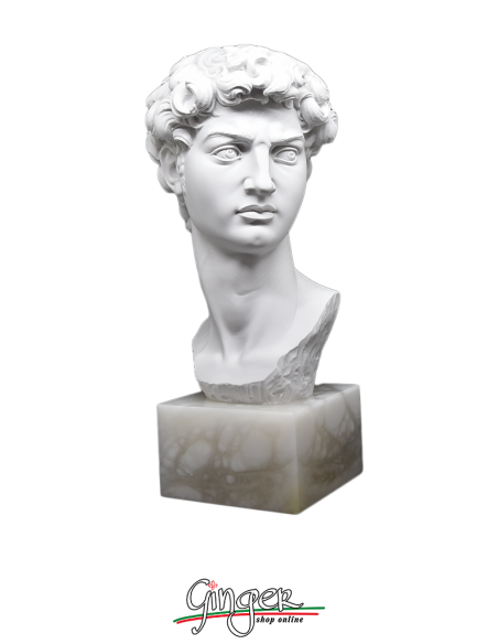 Testa del David - 30 cm - con base in alabastro