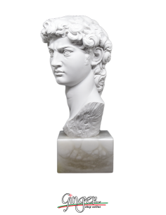 Michelangelo' David  - 11.8 in. - head with alabaster base 2