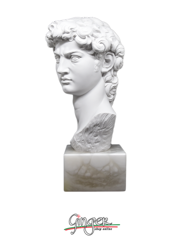 Testa del David - 30 cm - con base in alabastro