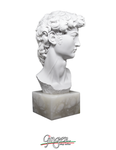 Testa del David - 30 cm - con base in alabastro