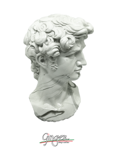 David - testa 17 cm - effetto marmo 2