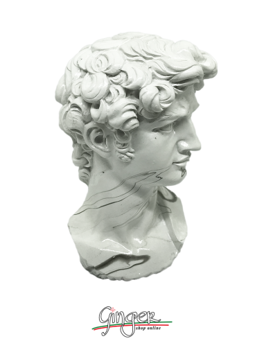 David - testa 17 cm - effetto marmo