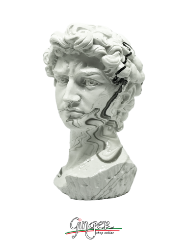 David - the head 6.7 in. (17 cm) - with marble effect coloring