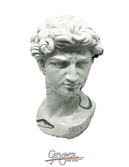 David - testa 17 cm - effetto marmo