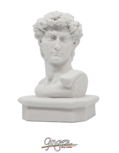 David by Michelangelo - 15 cm 2