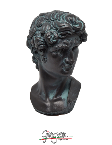 David - Testa 17 cm - verniciata bronzo antico