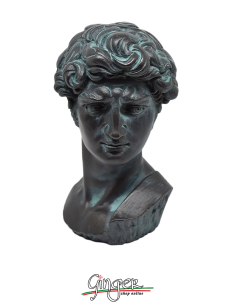 David - Testa 17 cm - verniciata bronzo antico 2