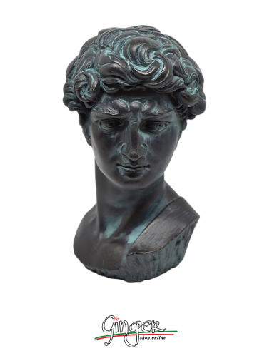 David - Testa 17 cm - verniciata bronzo antico