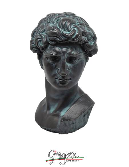 David - Testa 17 cm - verniciata bronzo antico