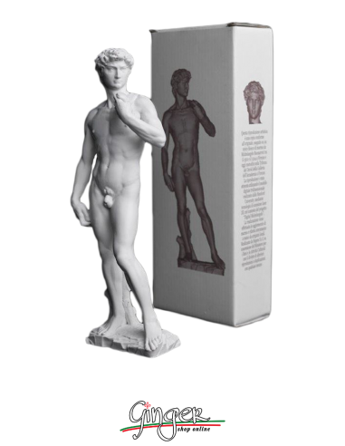 Michelangelo' s David - 5.9 in. (15 cm), 7.8 in. (20 cm) or 9.8 in. (25 cm)