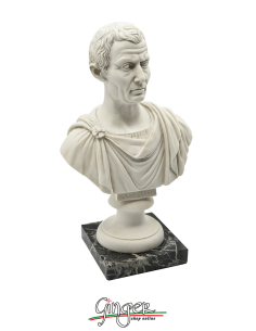 Ancient Rome - Julius Caesar - bust 10.2 in. (26 cm) 2