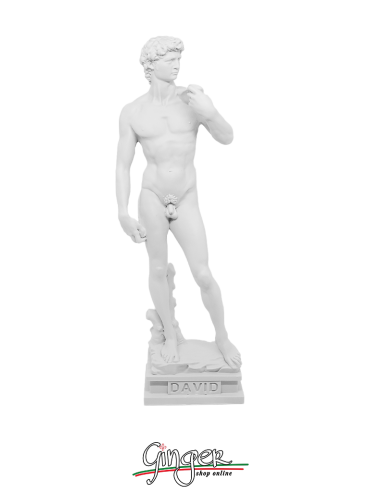 Michelangelo' s David - 11.8 in. (30 cm) - White or Aged by hand