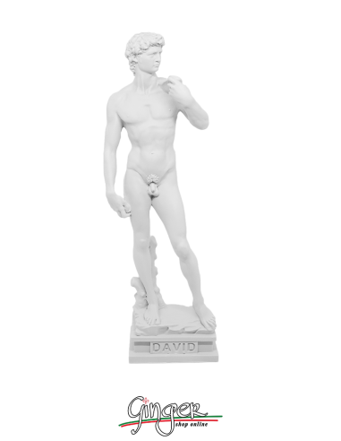 David di Michelangelo Patinato 30 cm Ginger statue made in Italy