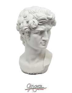 David by Michelangelo 2