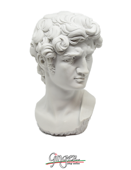 David - Testa 17 cm - bianco
