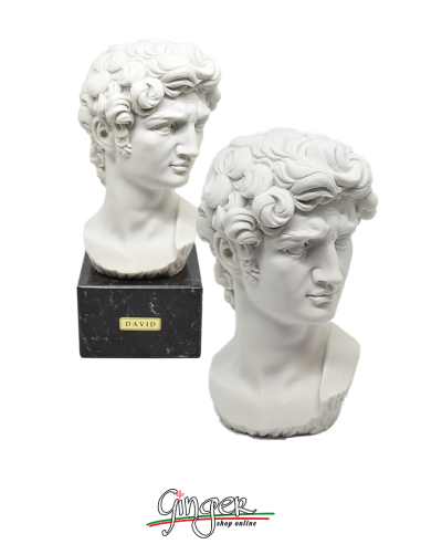 David - the head 6.7 in. (17 cm) or 9.0 in. (23 cm) with marble base