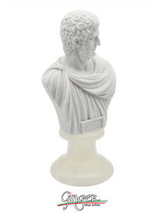 Roman Emperor - Marcus Aurelius - bust 16 cm 2