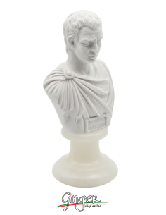 Roman Emperor - Marcus Aurelius - bust 16 cm 2
