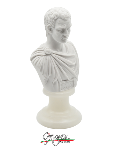 Roman Emperor - Marcus Aurelius - bust 16 cm