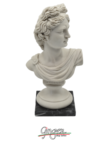 Apollo - bust 6.7 in. (17 cm)