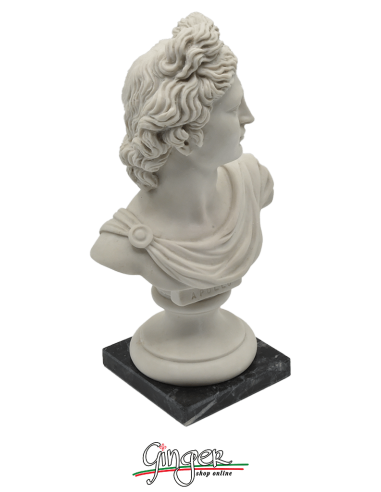 Apollo - busto 17 cm