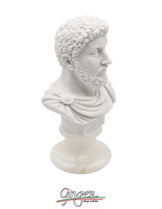 Ancient Rome - Marcus Aurelius - bust 6.0 in. (15 cm) 2